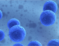 Stem Cells & Cell Therapy Summit